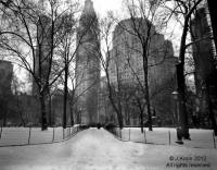 Madison Square Park in Winter