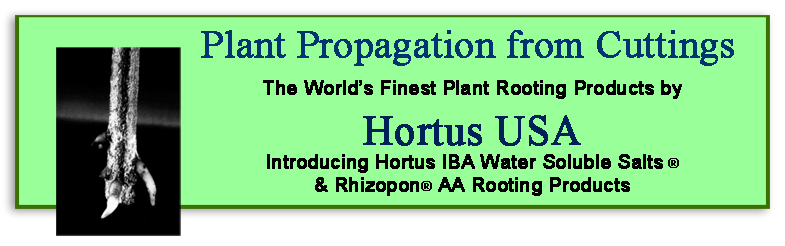 Hortus USA